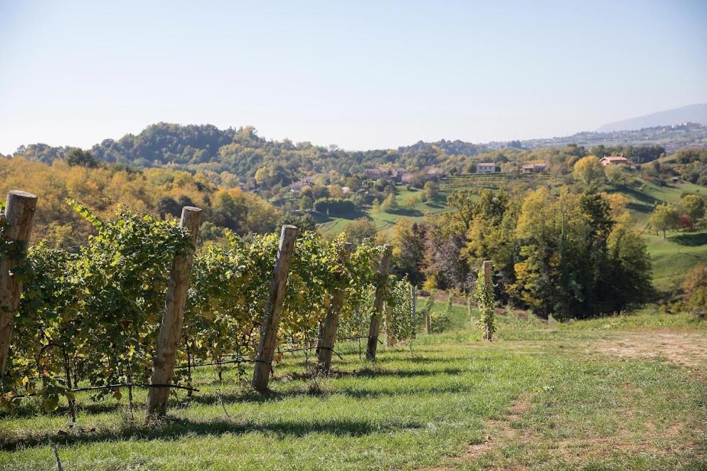 Вилла Agriturismo Al Capitello Азоло Экстерьер фото